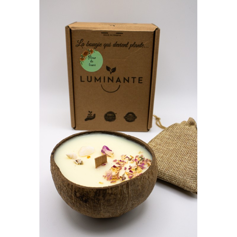 Bougie plante artisanale parfum fleur de tiaré LUMINANTE