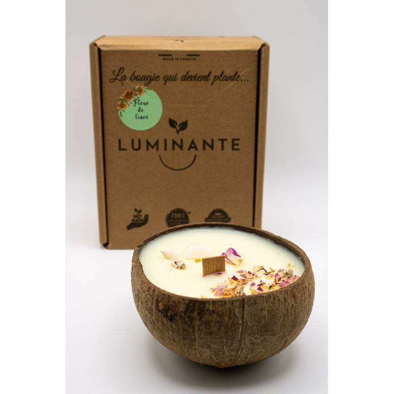 Bougie plante artisanale parfum fleur de tiaré LUMINANTE