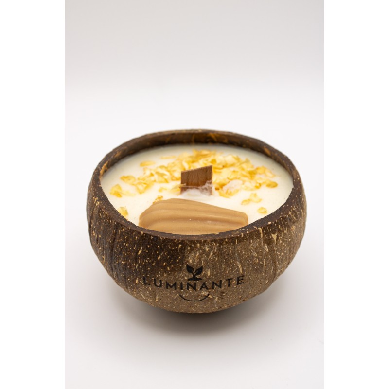 Bougie plante madeleine - LUMINANTE