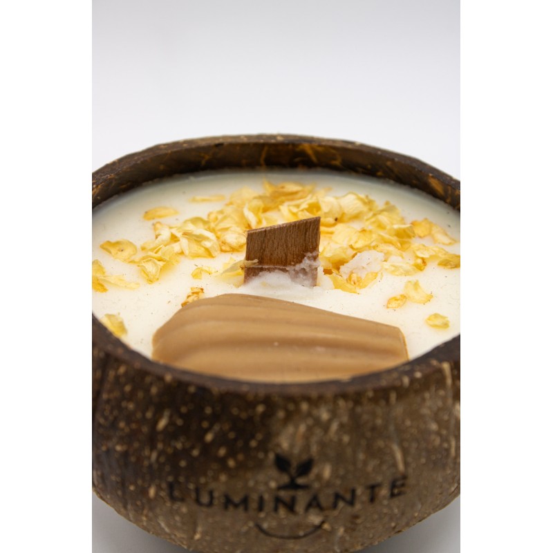 Bougie plante madeleine - LUMINANTE