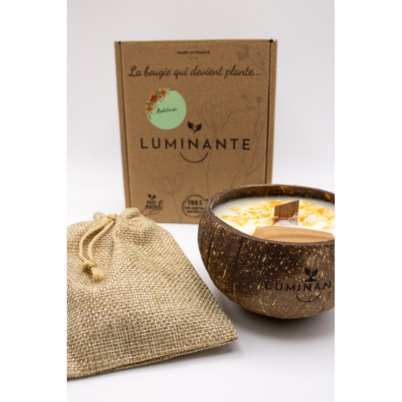 Bougie plante madeleine - LUMINANTE
