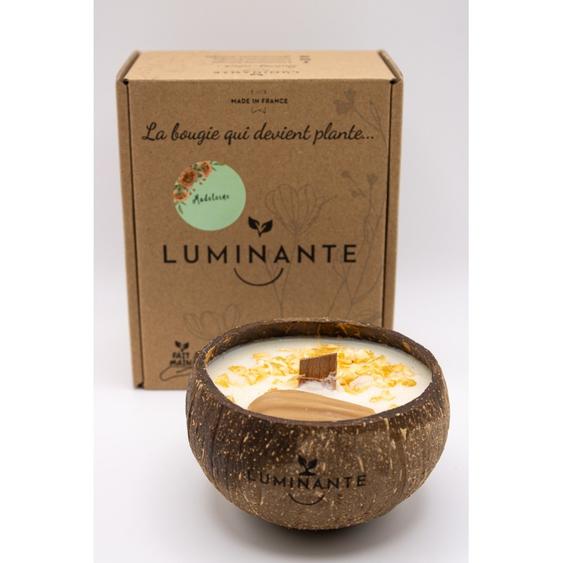 Bougie plante madeleine - LUMINANTE