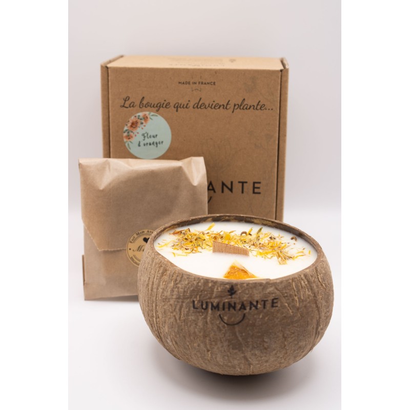 Bougie qui devient plante Luminante | Fabriquée en France