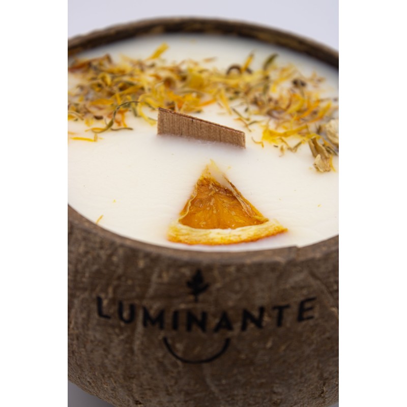 Bougie qui devient plante Luminante | Fabriquée en France