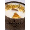 Bougie qui devient plante Luminante | Fabriquée en France